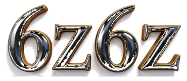 6z6z logo